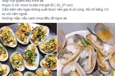 Ngao hai cùi Vân Đồn đang được bán giá rẻ giật mình, chỉ 65 ngàn đồng/kg Ngao hai cùi Vân Đồn đang được bán giá rẻ giật mình, chỉ 65 ngàn đồng/kg