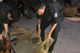Bắt 5 đối tượng ngang nhiên vào nhà dân bắt người rồi tra tấn Bắt 5 đối tượng ngang nhiên vào nhà dân bắt người rồi tra tấn