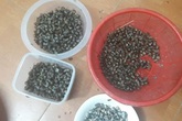 Một rổ vỏ ốc cùng đòn đáp trả “sốc óc” của cô vợ khi chồng ngoại tình còn ngông nghênh đập đơn ly hôn lên bàn bắt kí Một rổ vỏ ốc cùng đòn đáp trả “sốc óc” của cô vợ khi chồng ngoại tình còn ngông nghênh đập đơn ly hôn lên bàn bắt kí
