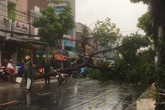 Cây đổ, đường phố Sài Gòn mênh mông nước sau trận mưa cực lớn Cây đổ, đường phố Sài Gòn mênh mông nước sau trận mưa cực lớn