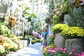 Khu vườn toàn những cây độc lạ của người phụ nữ yêu thiên nhiên ở Cần Thơ Khu vườn toàn những cây độc lạ của người phụ nữ yêu thiên nhiên ở Cần Thơ