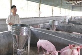 Chàng trai bỏ phố về quê lập trang trại, kiếm tiền tỷ Chàng trai bỏ phố về quê lập trang trại, kiếm tiền tỷ