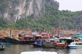 Bão số 2: Cấm tàu du lịch trên Vịnh Hạ Long Bão số 2: Cấm tàu du lịch trên Vịnh Hạ Long
