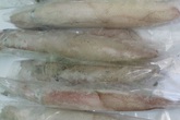 Phát hiện hơn 1 tấn mực đông lạnh Trung Quốc nhập lậu Phát hiện hơn 1 tấn mực đông lạnh Trung Quốc nhập lậu