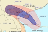 Quảng Ninh: Hoãn tất cả cuộc họp để tập trung phòng chống bão số 5 Quảng Ninh: Hoãn tất cả cuộc họp để tập trung phòng chống bão số 5