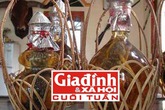 Bí pháp chế biến “dâm dương hoắc” thành thần dược phòng the hiếm có Bí pháp chế biến “dâm dương hoắc” thành thần dược phòng the hiếm có