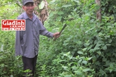 Hạnh phúc bất ngờ sau chuỗi ngày sám hối của người chồng từng đầu độc vợ vì chê xấu gái! Hạnh phúc bất ngờ sau chuỗi ngày sám hối của người chồng từng đầu độc vợ vì chê xấu gái!