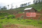 Định nghĩa kỳ lạ về hạnh phúc trong... "gia đình im lặng" trên cao nguyên đất đỏ Định nghĩa kỳ lạ về hạnh phúc trong... "gia đình im lặng" trên cao nguyên đất đỏ