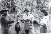 Bí quyết duy trì sự "sung mãn" của ông vua có lối sống Tây hóa Bí quyết duy trì sự "sung mãn" của ông vua có lối sống Tây hóa