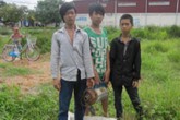 Bắt 3 tên trộm thập thò trong lùm cây Bắt 3 tên trộm thập thò trong lùm cây