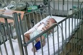 Những bậc “sinh thành” ác hơn hổ dữ Những bậc “sinh thành” ác hơn hổ dữ