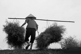 Nghẹn lòng nỗi nhớ cha mẹ mùa Vu lan Nghẹn lòng nỗi nhớ cha mẹ mùa Vu lan