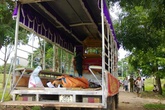 2 "cẩu tặc" chết đuối trên sông Mã. 2 "cẩu tặc" chết đuối trên sông Mã.