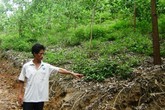 Thanh Hóa: Một nữ sinh bị hiếp dâm tập thể Thanh Hóa: Một nữ sinh bị hiếp dâm tập thể