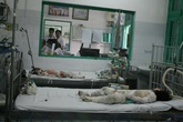 Vụ thiêu sống cả nhà: Ông nội của hai cháu bé đã tử vong Vụ thiêu sống cả nhà: Ông nội của hai cháu bé đã tử vong
