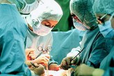 Bé trai sơ sinh bị chó cắn nát ''cậu nhỏ'' Bé trai sơ sinh bị chó cắn nát ''cậu nhỏ''