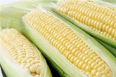 Tận hưởng 8 lợi ích "ngoài sức tưởng tượng" khi ăn ngô Tận hưởng 8 lợi ích "ngoài sức tưởng tượng" khi ăn ngô