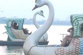 “Vịt tử thần” khổng lồ tung hoành ở Hà Nội “Vịt tử thần” khổng lồ tung hoành ở Hà Nội