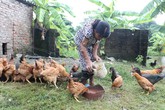 Cô gái mang hàng nghìn khối u suốt hơn 30 năm Cô gái mang hàng nghìn khối u suốt hơn 30 năm
