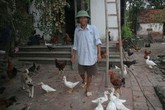 Nỗi u uẩn của "dị nhân" chán phụ nữ, sống cùng... gia cầm như tri kỷ Nỗi u uẩn của "dị nhân" chán phụ nữ, sống cùng... gia cầm như tri kỷ