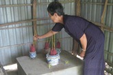 Được báo mộng kho báu, đào lên là xương người Được báo mộng kho báu, đào lên là xương người