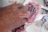 Ăn chuột bao tử tăng cường khả năng đàn ông: Không có cơ sở khoa học Ăn chuột bao tử tăng cường khả năng đàn ông: Không có cơ sở khoa học