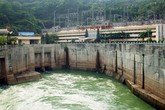 Đấu thầu phạm luật Đấu thầu phạm luật