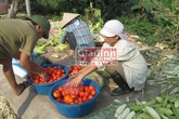 Cuộc sống bần hàn của “đại gia” từng một thời “lên xe xuống ngựa” Cuộc sống bần hàn của “đại gia” từng một thời “lên xe xuống ngựa”