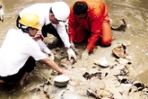 Phát lộ tàu đắm chứa cổ vật hơn 500 năm tuổi Phát lộ tàu đắm chứa cổ vật hơn 500 năm tuổi