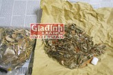 Thực hư loại dược liệu giúp quý bà trở lại thời trinh trắng bán trôi nổi khắp Sài thành Thực hư loại dược liệu giúp quý bà trở lại thời trinh trắng bán trôi nổi khắp Sài thành