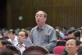 Hôm nay, bàn Hiến pháp tại nghị trường Hôm nay, bàn Hiến pháp tại nghị trường