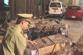 H7N9 cận kề, quốc tế hứa vào cuộc khi có dịch H7N9 cận kề, quốc tế hứa vào cuộc khi có dịch