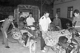 Tạm dừng nhập khẩu gia cầm qua các cửa khẩu Tạm dừng nhập khẩu gia cầm qua các cửa khẩu
