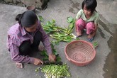 Éo le tình cảnh 2 mẹ con nghèo xơ xác cùng bị ung thư Éo le tình cảnh 2 mẹ con nghèo xơ xác cùng bị ung thư