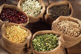 Trẻ thiếu magiê, có thể hôn mê Trẻ thiếu magiê, có thể hôn mê