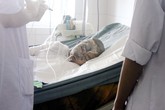 Cuồng yêu, tạt a xít cả nhà ân nhân Cuồng yêu, tạt a xít cả nhà ân nhân