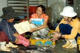 Nhiều kết quả quan trọng cho dự án Luật Dân số Nhiều kết quả quan trọng cho dự án Luật Dân số