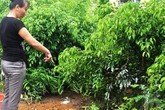 Vụ con tâm thần sát hại cha ở Nam Định: Nhát dao nát lòng người ở lại Vụ con tâm thần sát hại cha ở Nam Định: Nhát dao nát lòng người ở lại