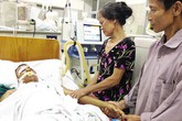 Cảnh báo xuất hiện nhiều ca ong đốt nguy kịch Cảnh báo xuất hiện nhiều ca ong đốt nguy kịch