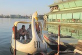 “Vịt tử thần” vẫn ầm ầm bơi “Vịt tử thần” vẫn ầm ầm bơi