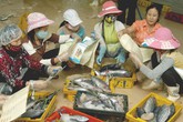 Chợ Lách, Bến Tre: 100% cộng tác viên tiếp thị xã hội phương tiện tránh thai Chợ Lách, Bến Tre: 100% cộng tác viên tiếp thị xã hội phương tiện tránh thai