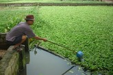 Xót xa cháu bé 6 tuổi bị sát hại vì 220 nghìn đồng Xót xa cháu bé 6 tuổi bị sát hại vì 220 nghìn đồng