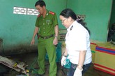 Biến lợn sề thành lợn rừng Biến lợn sề thành lợn rừng