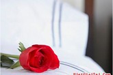 Một đêm ngọt ngào! Một đêm ngọt ngào!
