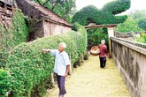 Chăm sóc, phát huy thế mạnh của người cao tuổi: 90 triệu và 9 triệu Chăm sóc, phát huy thế mạnh của người cao tuổi: 90 triệu và 9 triệu