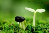 10 điều cha mẹ cần làm để không phải nhận "trái đắng” 10 điều cha mẹ cần làm để không phải nhận "trái đắng”