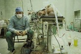 Tâm sự về những nỗi nhọc nhằn mà báo chí không hiểu của một bác sĩ hồi sức cấp cứu Tâm sự về những nỗi nhọc nhằn mà báo chí không hiểu của một bác sĩ hồi sức cấp cứu