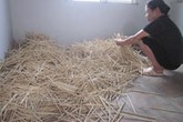 Hóa chất được phát hiện ở đũa dùng một lần: Ít ảnh hưởng sức khỏe Hóa chất được phát hiện ở đũa dùng một lần: Ít ảnh hưởng sức khỏe