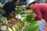 “Hụt hơi” vì xăng tăng giá “Hụt hơi” vì xăng tăng giá
