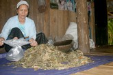 Bài thuốc truyền tám đời chữa ba loại nan y của "thần y" xứ Mường Bài thuốc truyền tám đời chữa ba loại nan y của "thần y" xứ Mường